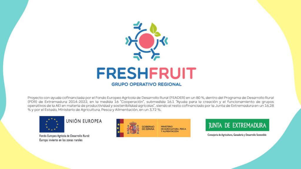 FRESHFRUIT